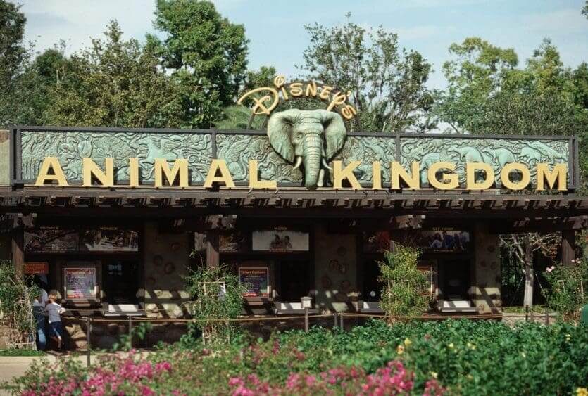 Animal Kingdom — Safari